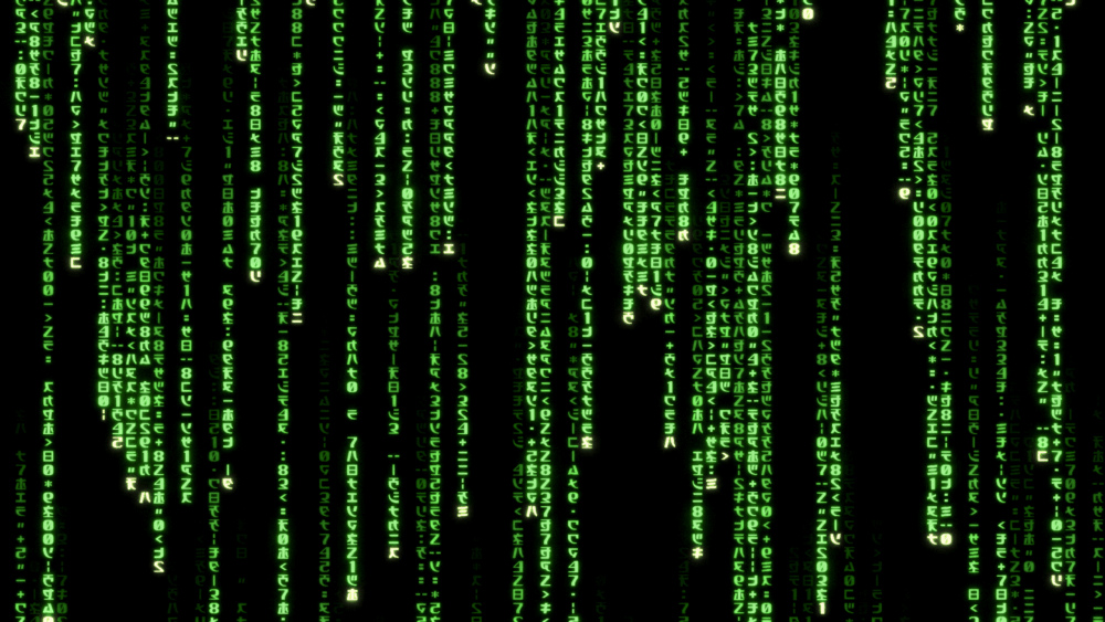 Matrix Room Divider - Green Code Rain Design